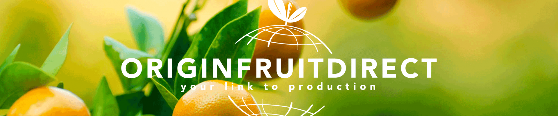 Origin Fruit Direct B.V. cover foto